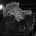 Click to enlarge GutterPunk - Professional Concert Photography